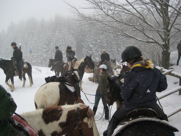 Reitweekend in Unterweissenbach - 