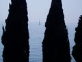 Muggia(triest) 2007 - 