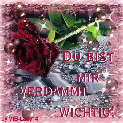 ---§§ voi die geile bilder --- - 