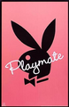 Playboys - 