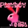 Playboys - 