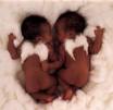 anne geddes - 