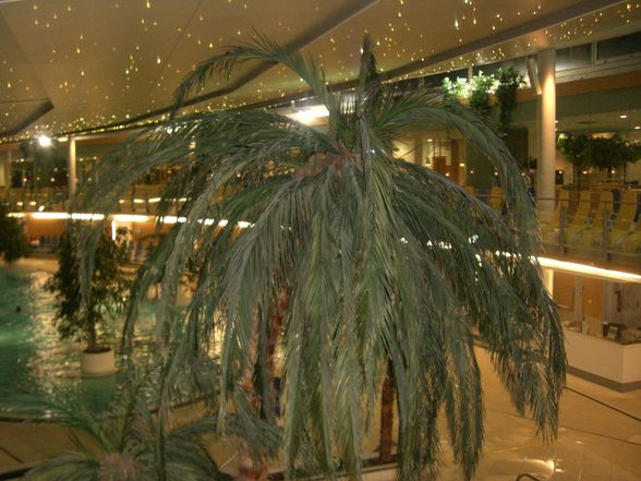 Relaxn in der Therme Geinberg - 