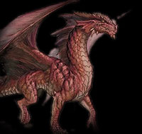 Drachen - 