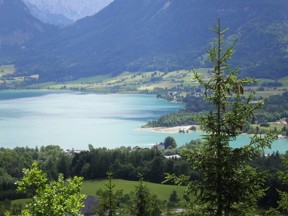 Jahrestag am Wolfgangsee - 