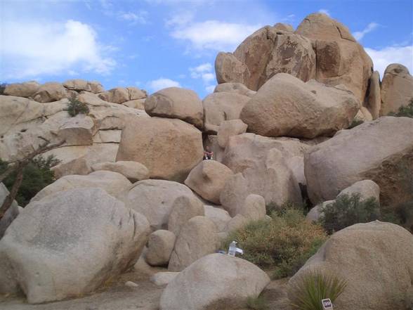 Grand Canyon - Joshua Tree NP - 