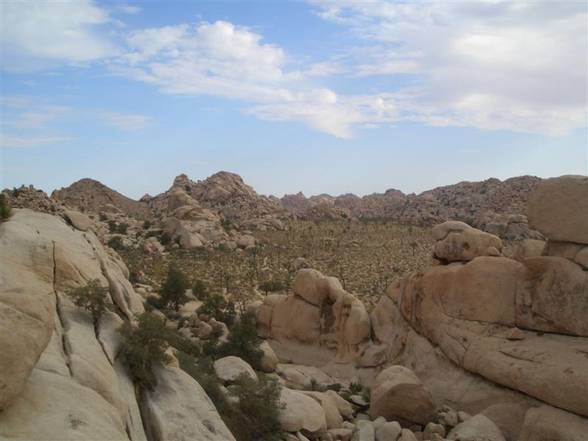 Grand Canyon - Joshua Tree NP - 