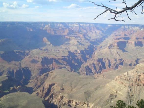 Grand Canyon - Joshua Tree NP - 