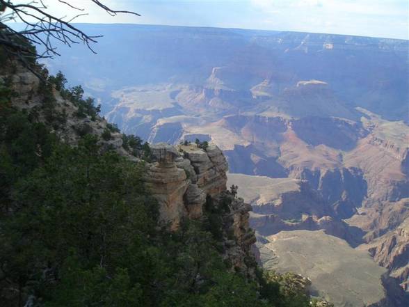 Grand Canyon - Joshua Tree NP - 