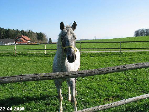 mein Knuddelmonster =) - 