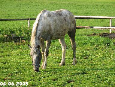 mein Knuddelmonster =) - 