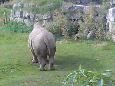 Tiergarten Hellbrunn - 