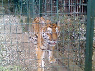 Tiergarten Hellbrunn - 