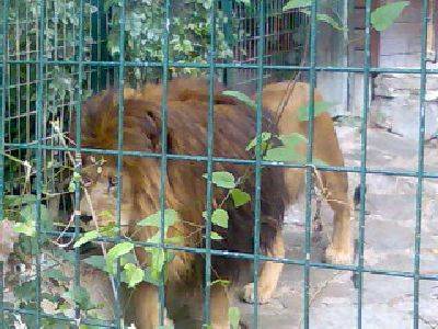 Tiergarten Hellbrunn - 