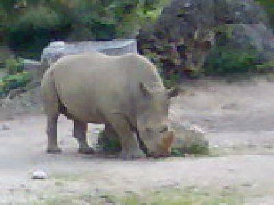 Tiergarten Hellbrunn - 