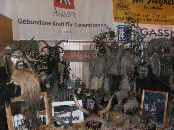 Ausstellung in Bad Ischl und Steyr - 