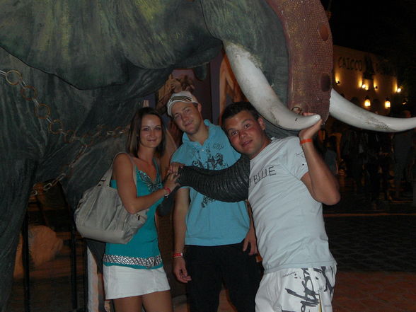 Tunesien- Hammamet 2008 - 