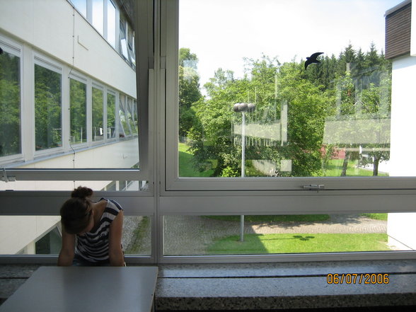 Schule - 