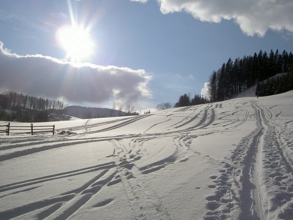 so schön kann's in austria sein - 