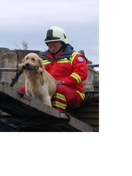 Rettungshunde im Einsatz - 