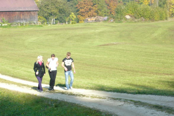 Wandertag11.10.2008@wüdhausn.greisinger - 