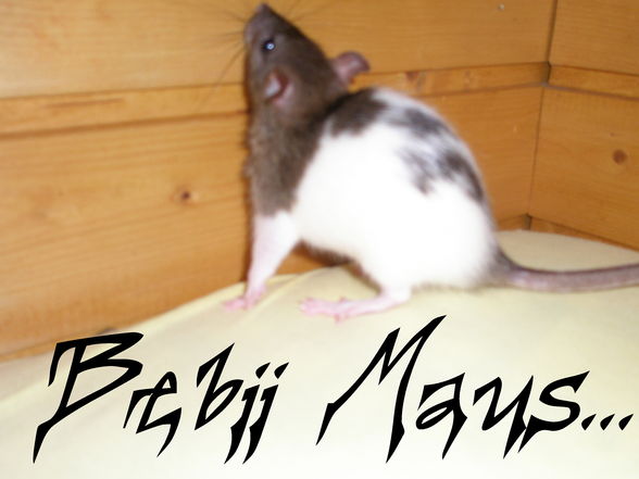 MiSS You Bebüü =( - 