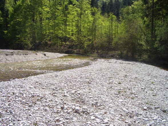 Attersee - Weißenbach 2009 - 