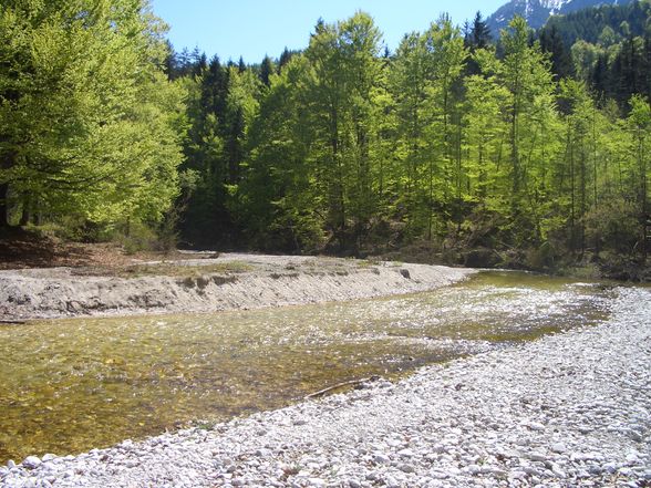 Attersee - Weißenbach 2009 - 