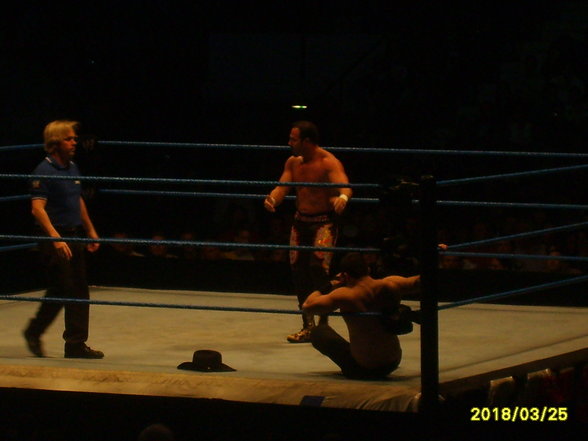 Wrestlemania Revengetour 2007     Wien - 