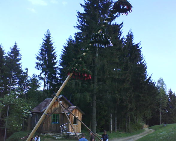 MaIbaUm StEhL AkTiOn - 