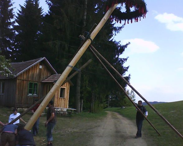 MaIbaUm StEhL AkTiOn - 