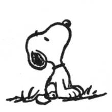 _sNoOpY_ - 