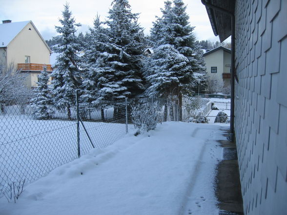 Winter 2008/2009 - 