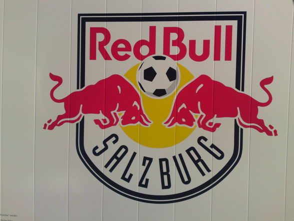 RED BULL ARENA - 