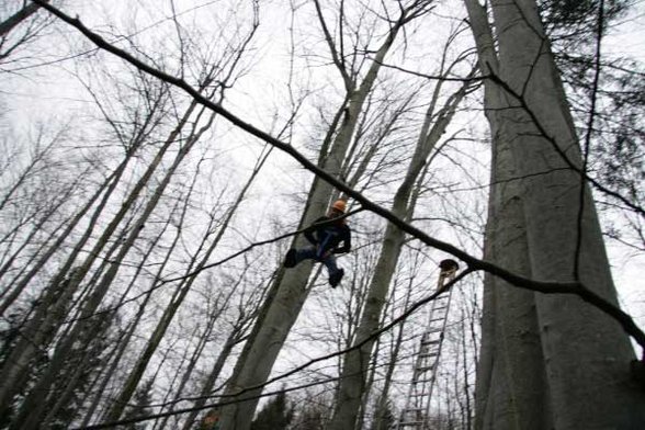 Outdoor Pamper Pole - 