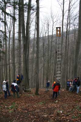 Outdoor Pamper Pole - 