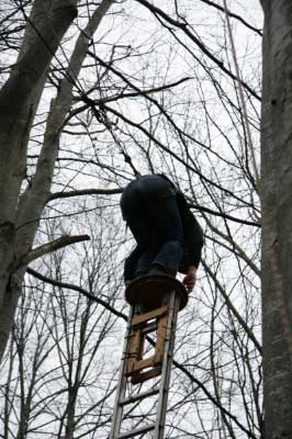 Outdoor Pamper Pole - 