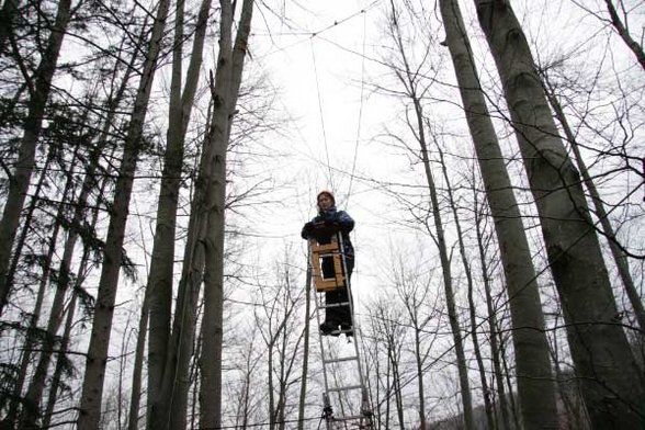 Outdoor Pamper Pole - 