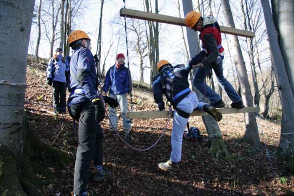 Outdoor Giant Ladder - 