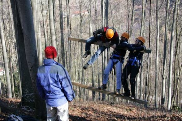 Outdoor Giant Ladder - 