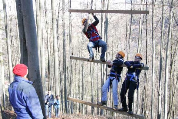 Outdoor Giant Ladder - 