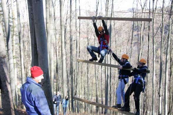 Outdoor Giant Ladder - 