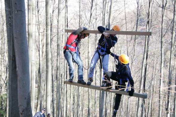 Outdoor Giant Ladder - 