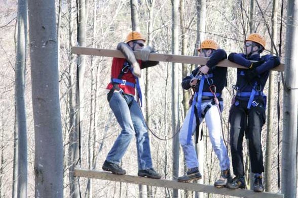 Outdoor Giant Ladder - 