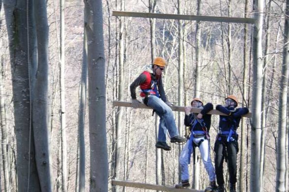 Outdoor Giant Ladder - 