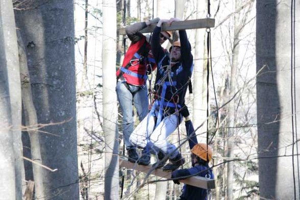 Outdoor Giant Ladder - 