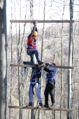 Outdoor Giant Ladder - 