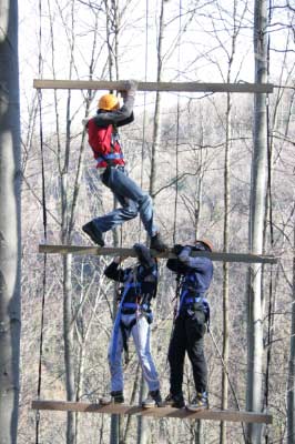 Outdoor Giant Ladder - 