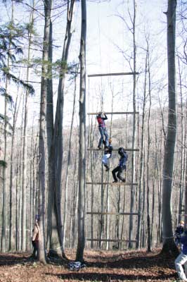 Outdoor Giant Ladder - 