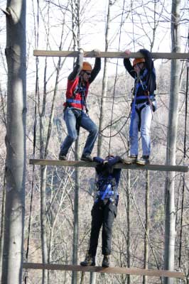 Outdoor Giant Ladder - 